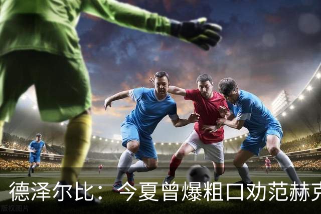德泽尔比：今夏曾爆粗口劝范赫克加盟；热刺还要再签2-3人